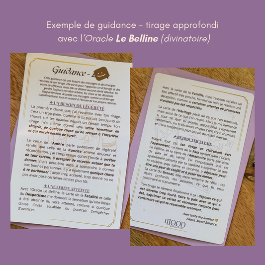 Collier Guidance — Modèle au choix