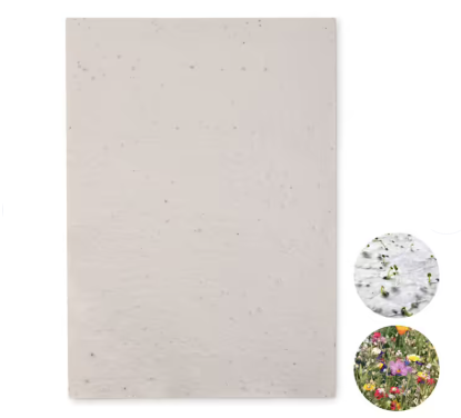 2 Leaves to sow 🌱