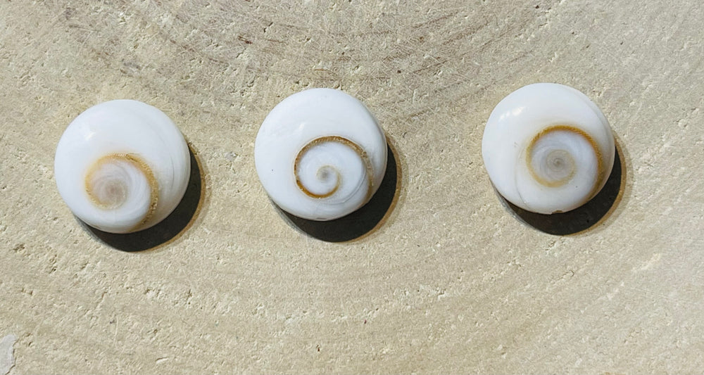 Oeil de sainte Lucie
